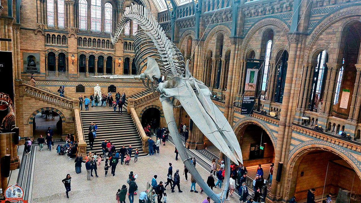 Museo de Historia Natural, Londres 