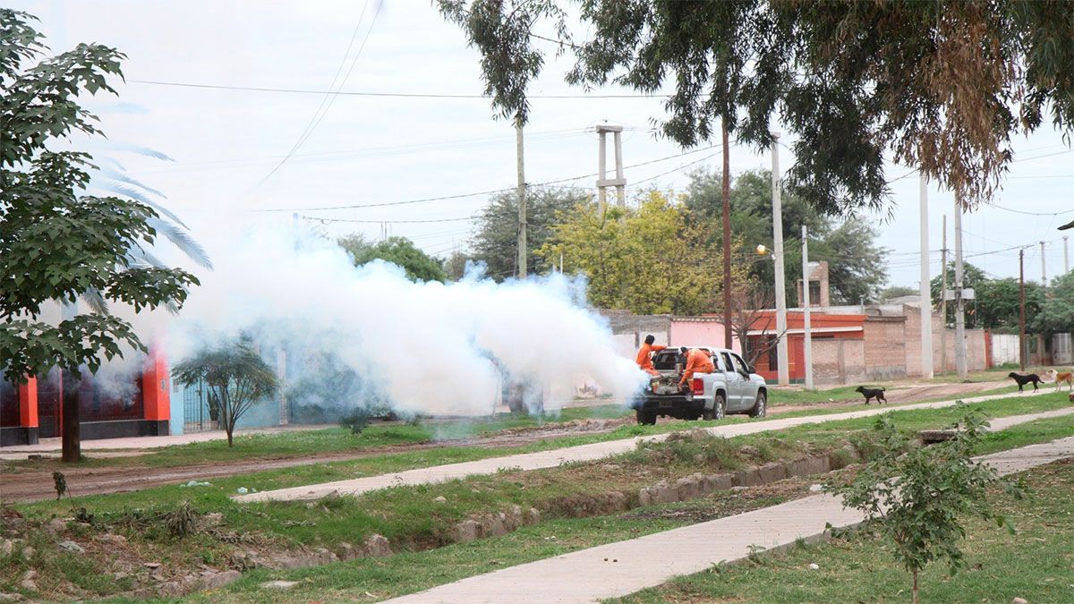 El municipio continúa con los trabajos de fumigación en los barrios ...