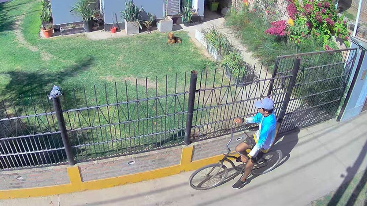 VIDEO: delincuente quedó registrado cuando cometía un robo a plena luz ...