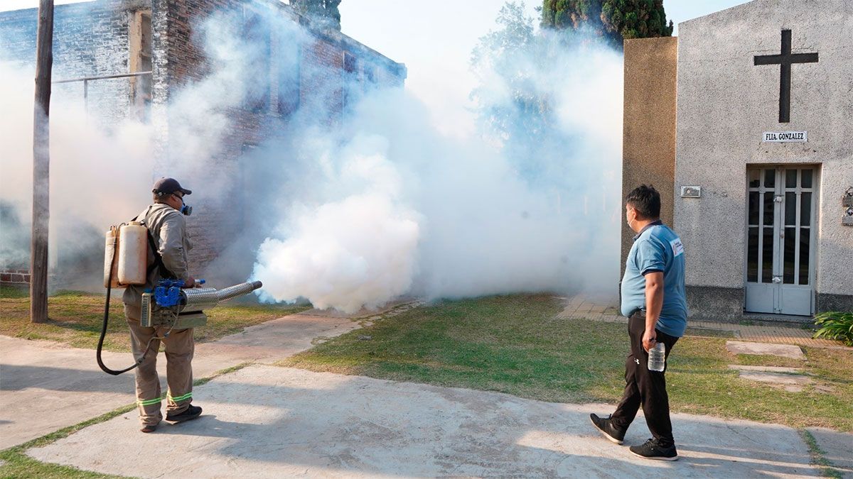 El municipio realizó tareas de limpieza y fumigación en el cementerio ...