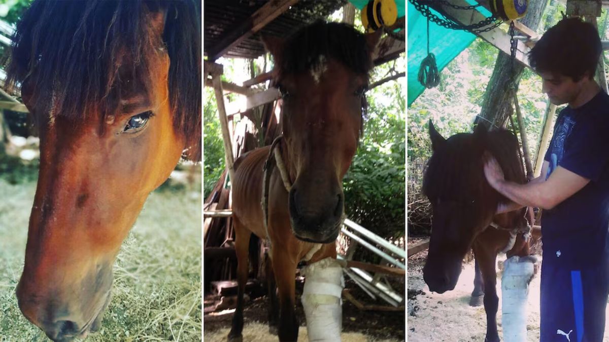 Facundo junto a Atlas 