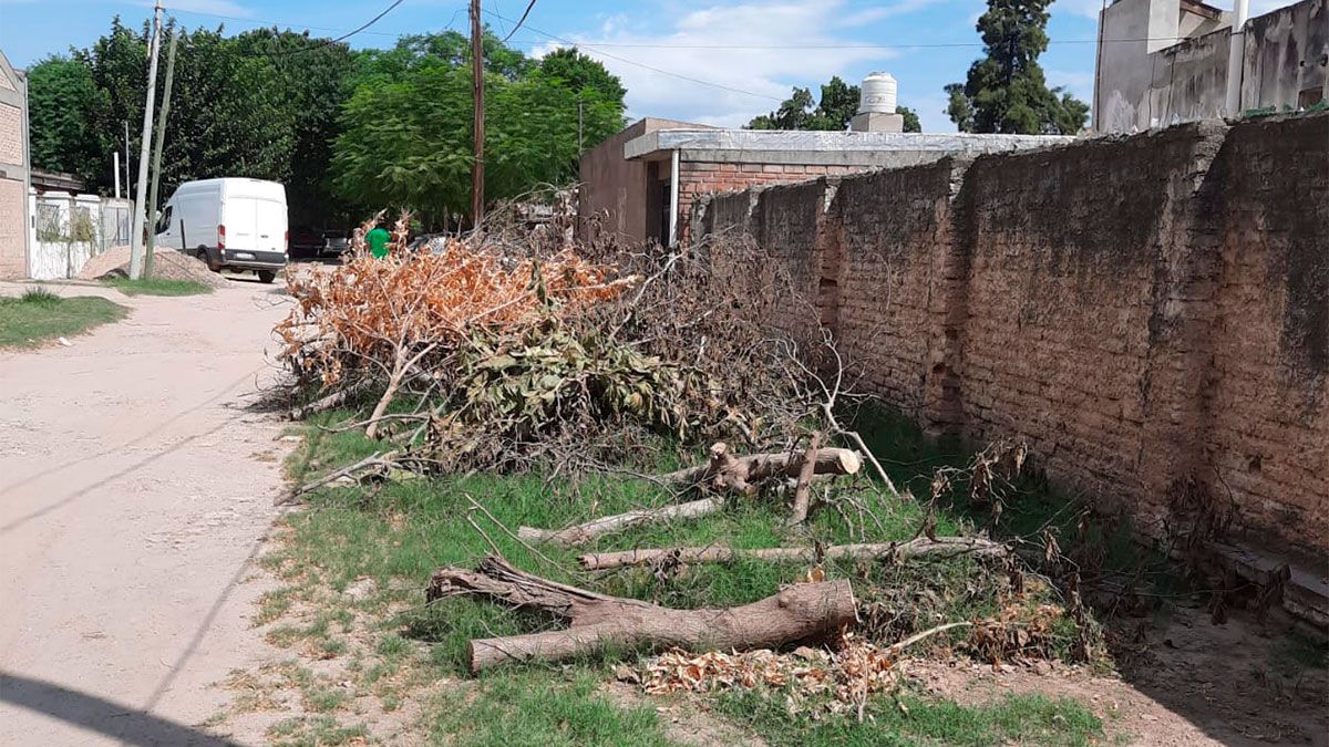 Restos sobre la otra vereda 