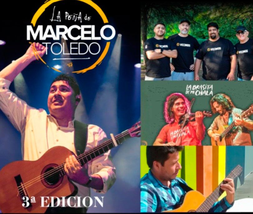 Marcelo Toledo Peña 