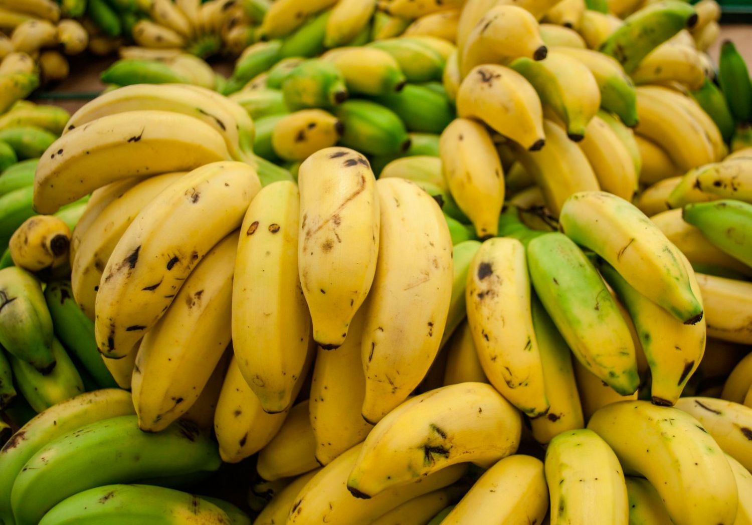 Bananas 