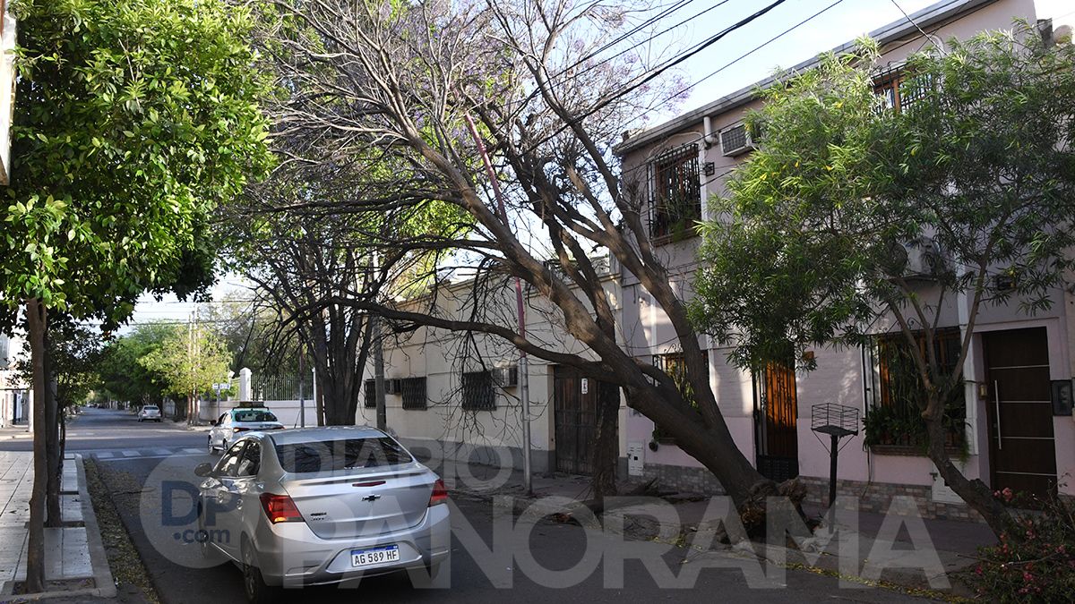 Misiones a metros de Rivadavia 