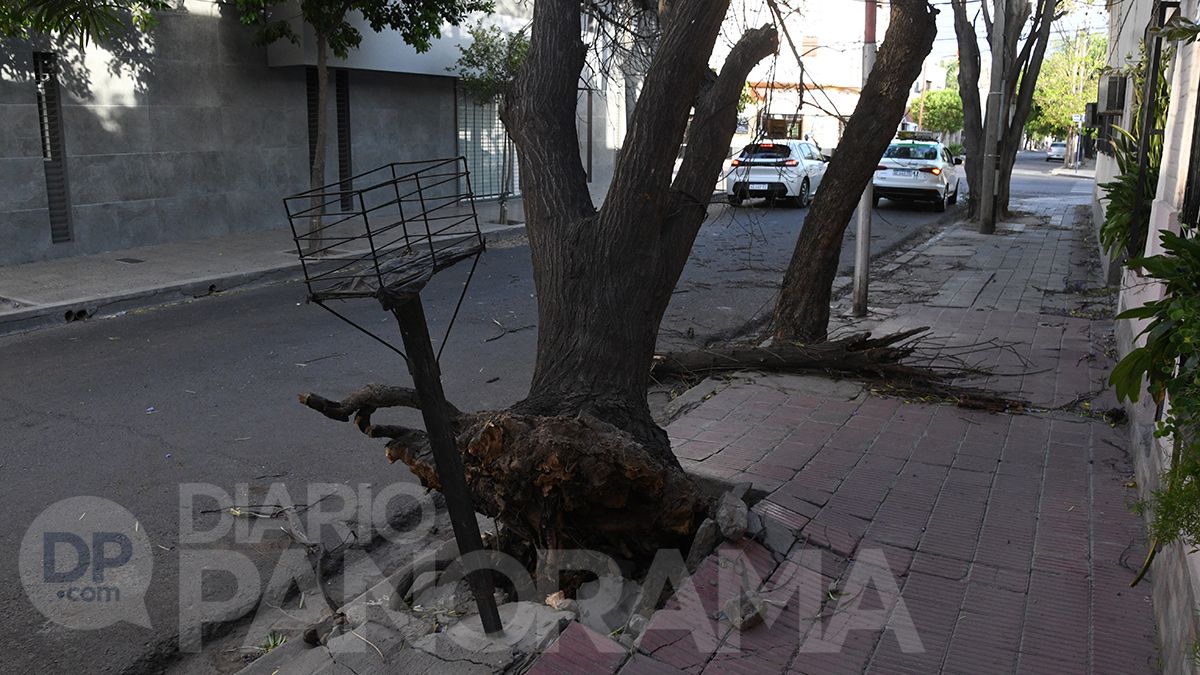 Misiones a metros de Rivadavia 