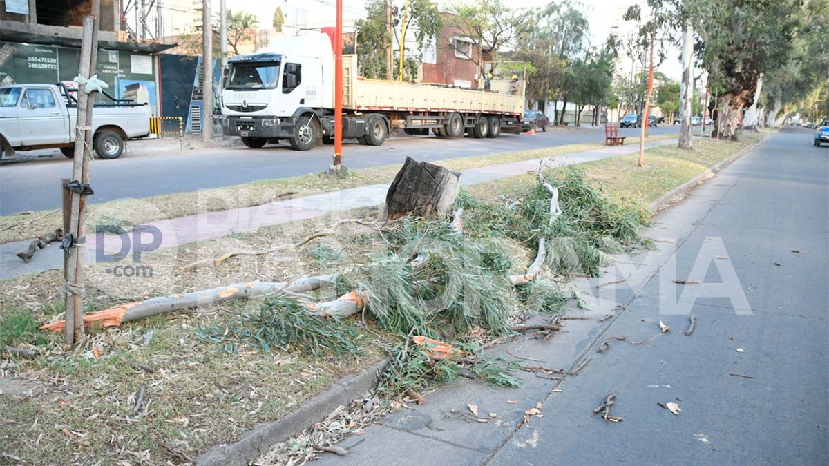 Olaechea, entre Mitre y Urquiza 