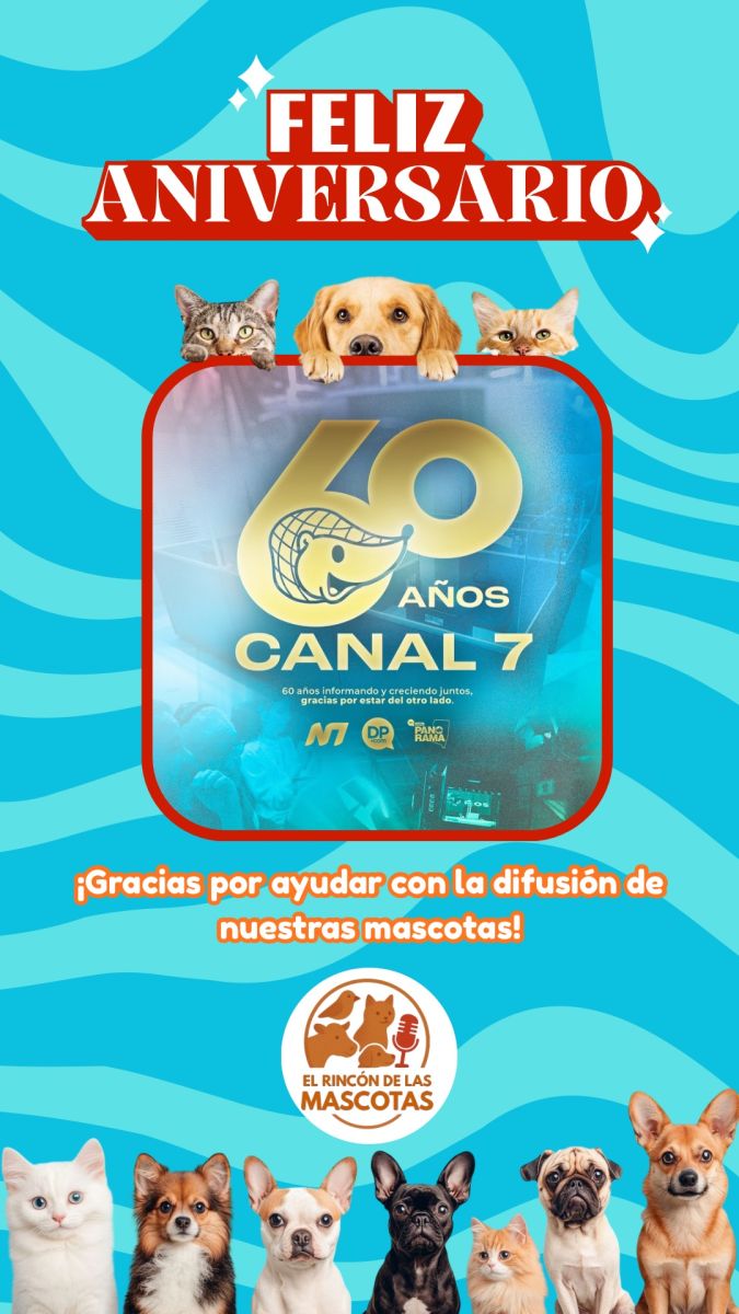 canal 7 