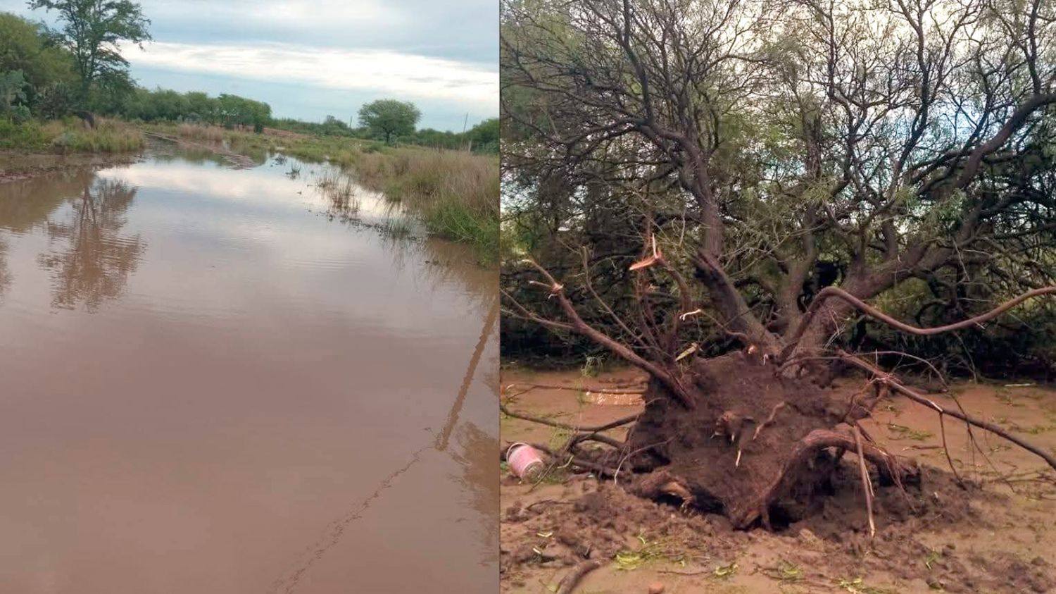 Daños en Los Juríes 