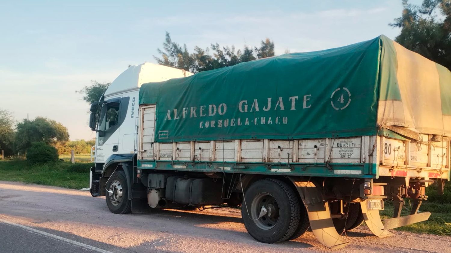 Transporte de carbón 