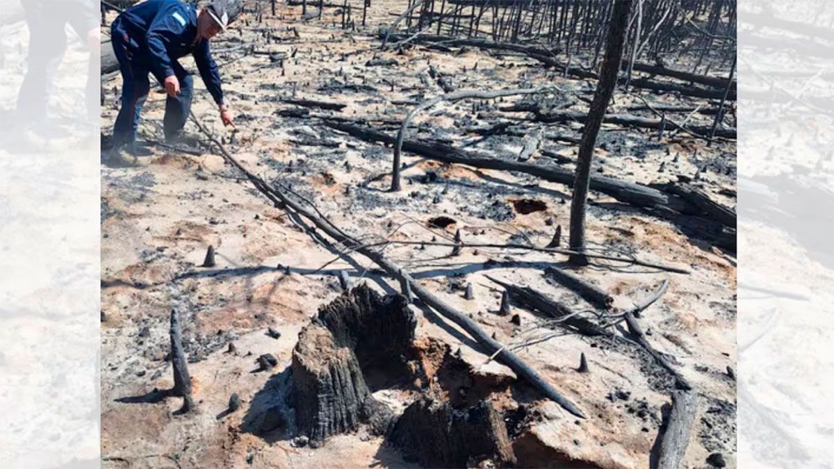 Imag.difundida por el M.P.F 