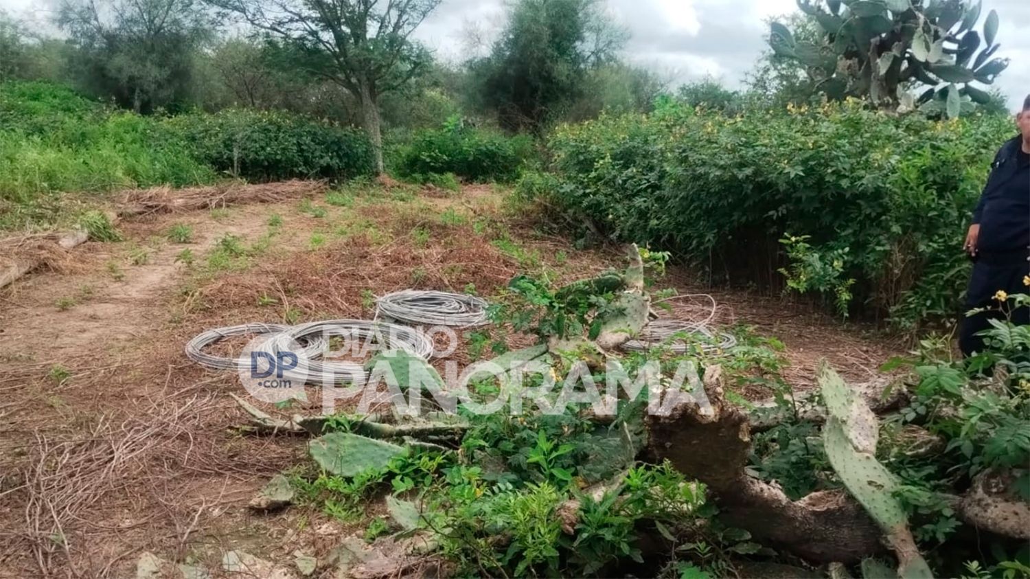 Rollos de cables recuperados 