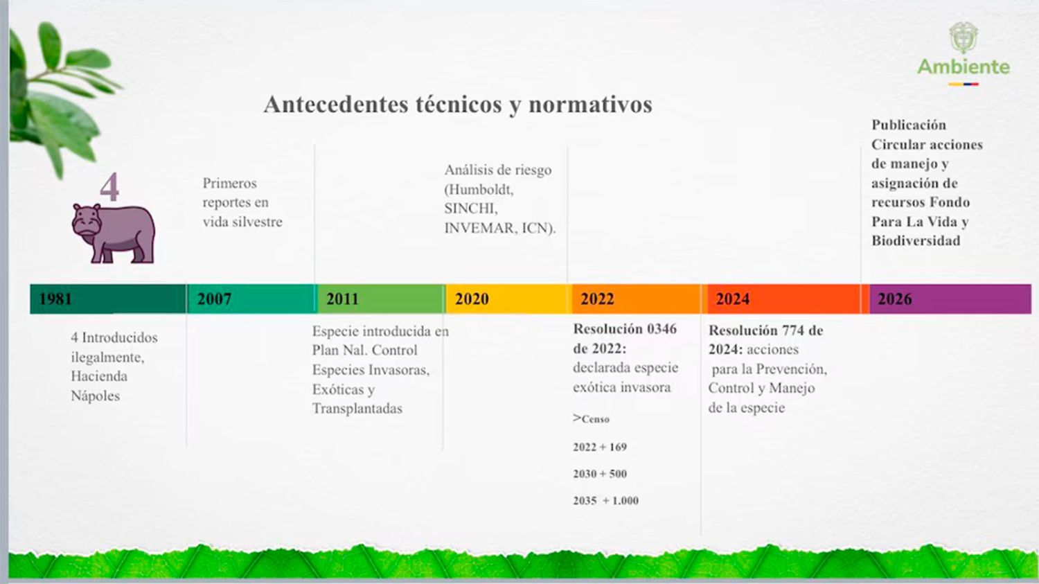 Evolución de los hipopótamos 