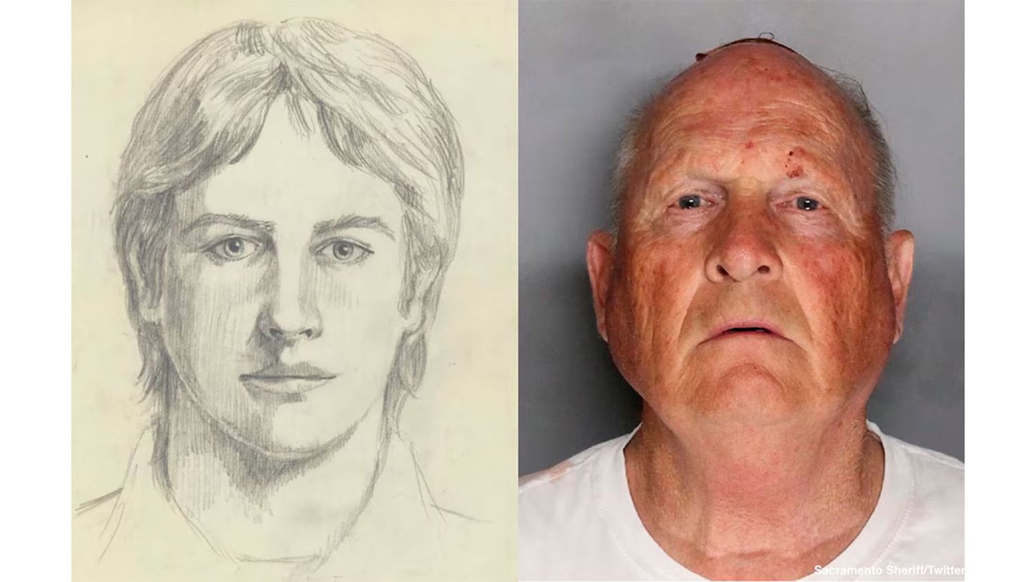 El identikit y la foto detenido 