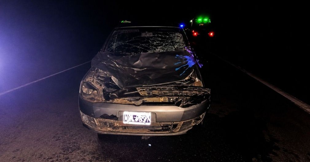 Accidente fatal en la RP 56 deja un caballo muerto en La Mendieta