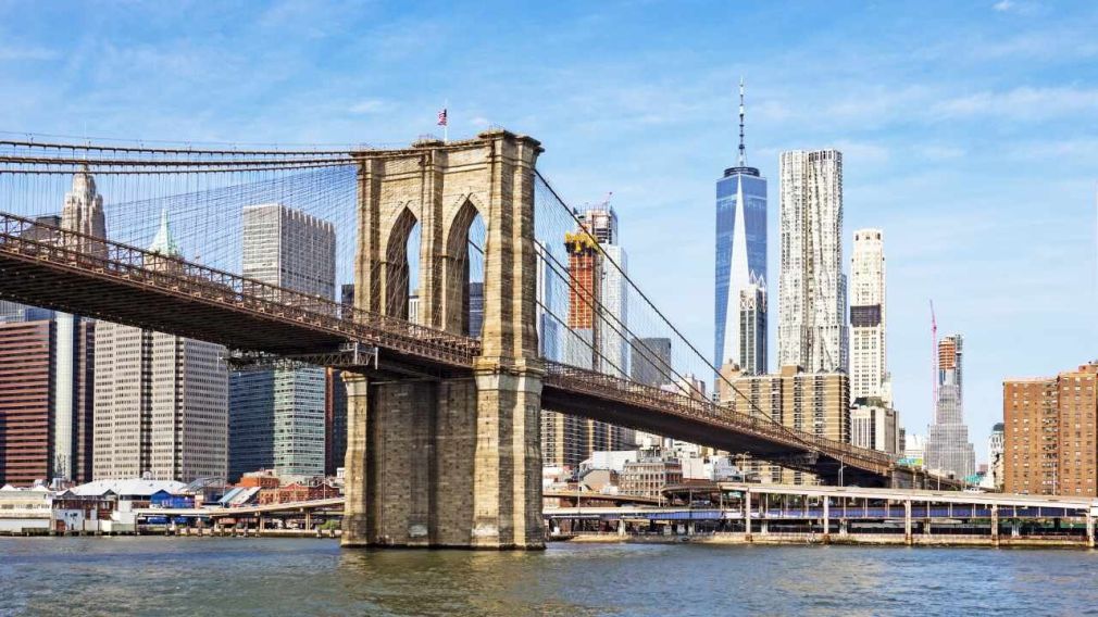 Cuidar casas en Nueva York, una opción para viajeros y amantes de mascotas - Diario Panorama