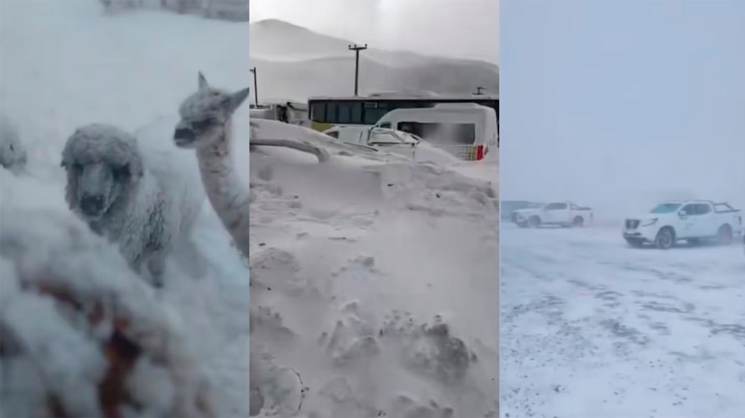 Nieve, frío extremo y vientos de 170 km/h: el histórico temporal que golpea a Catamarca - Diario Panorama