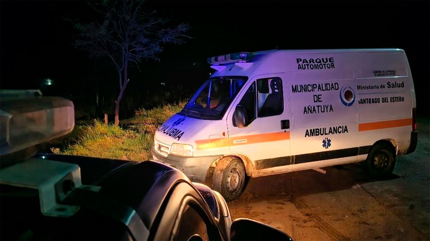 Grave choque en la Ruta 7: dos menores resultaron heridos tras impactar contra una vaca