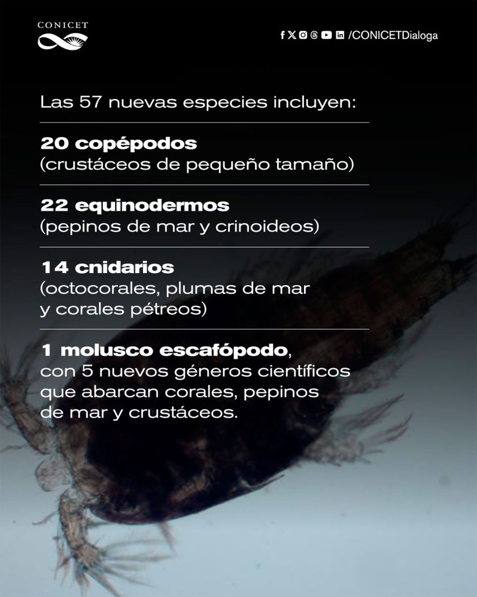 57 nuevas especies 